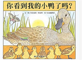 信谊精选图画书：你看到我的小鸭了吗？